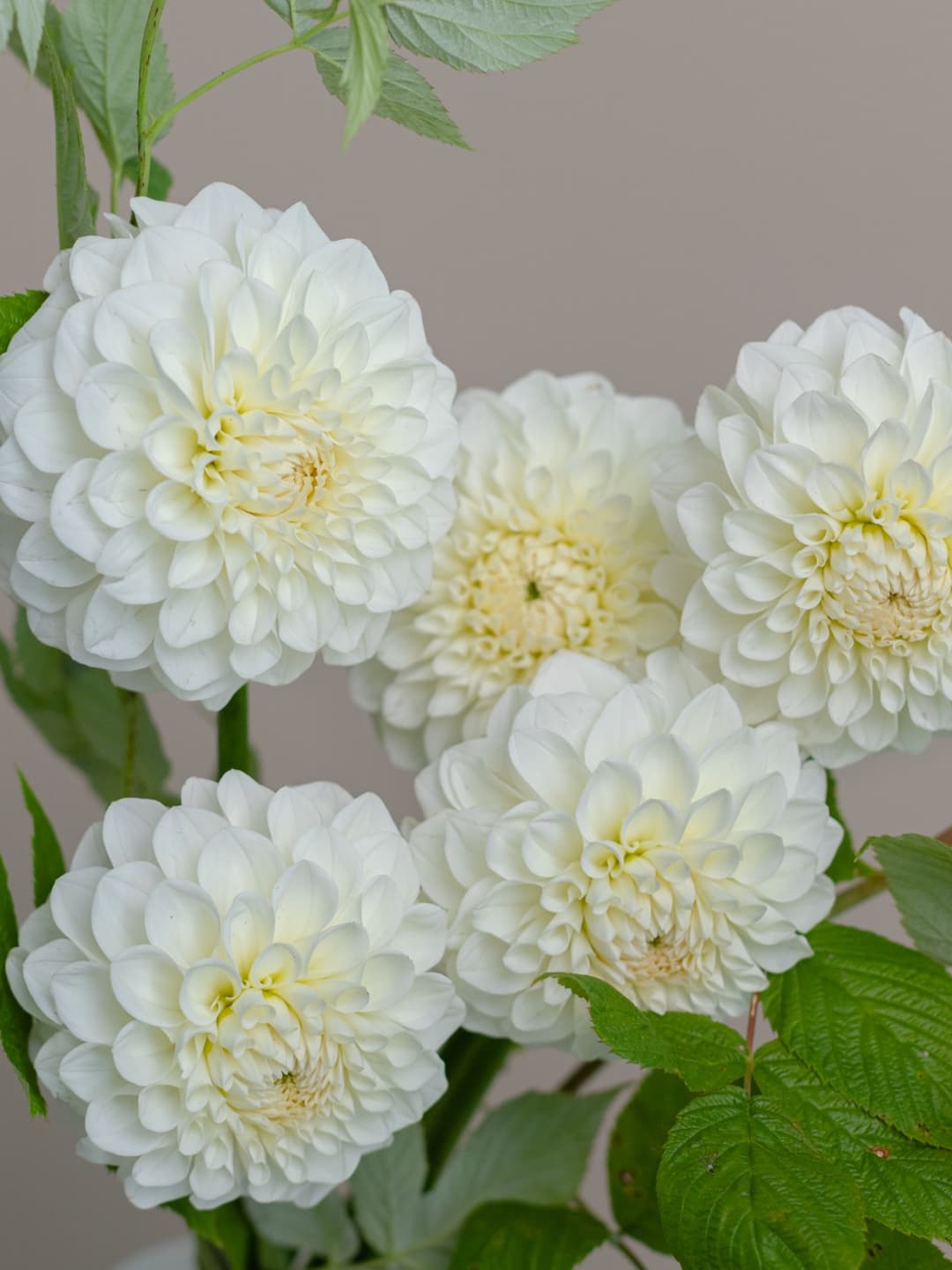 Букет 2331